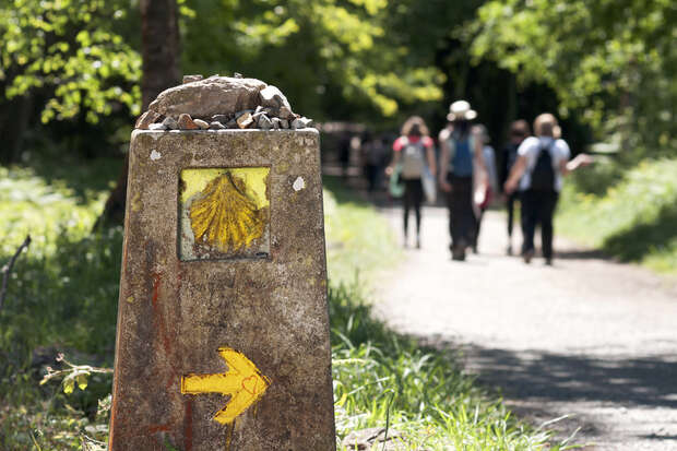A stone marker displaying a yellow scallop shell and arrow points along a forest path; several hikers walk away in the sunny background.