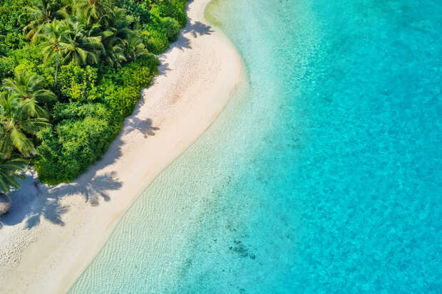 A pristine beach curves along clear turquoise water, bordered by lush, green tropical vegetation. The sunlight creates noticeable shadows of palm trees on the sand and water.