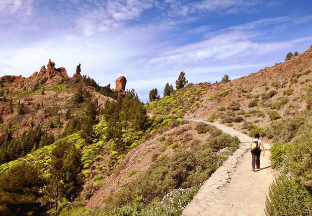 Hiker walking along a dirt trail, surrounded by green shrubs and trees on a mountainous landscape under a partly cloudy blue sky. Rugged rock formations rise in the background.