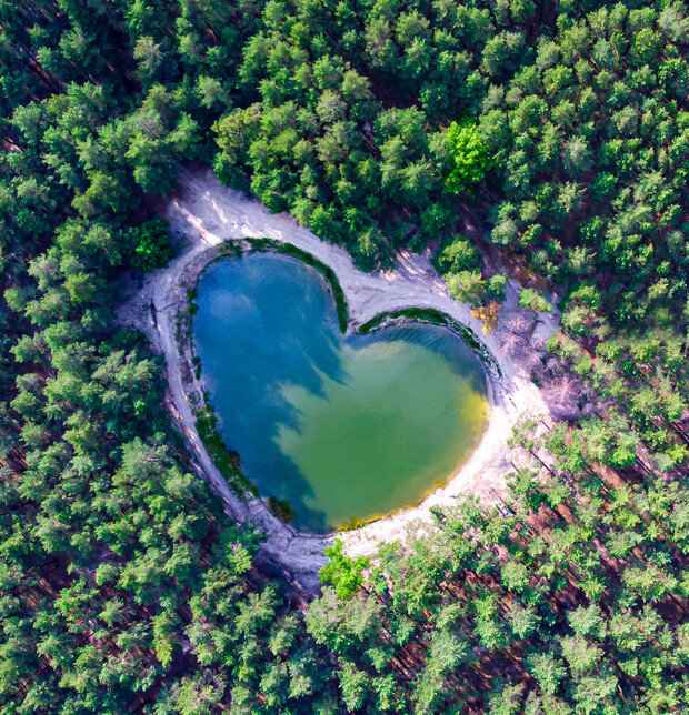 A heart-shaped pond sits quietly surrounded by lush, green forest, creating a natural, serene landscape viewed from above.