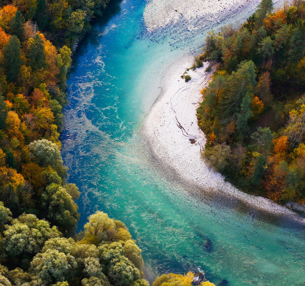 Aerial view of a turquoise river bending through a forest, bordered by trees with autumn foliage and a sandy shoreline. The vibrant landscape creates a serene, natural scene.