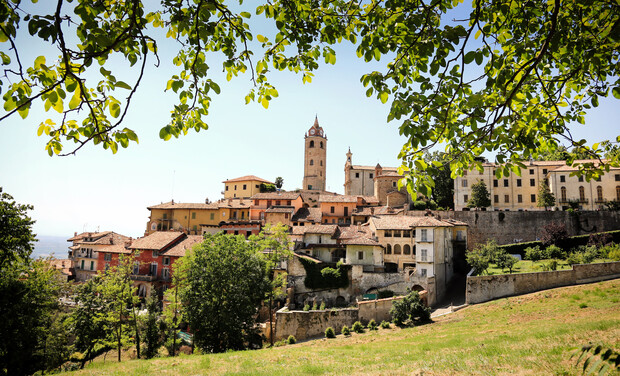 A picturesque hillside village with colorful buildings topped by a central bell tower. Leafy branches frame the scene above, with surrounding green fields and a clear sky.