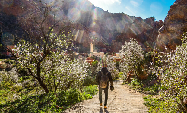A person walks along a sunlit path surrounded by blossoming trees and green foliage, with mountains and a village visible in the background under a clear blue sky.