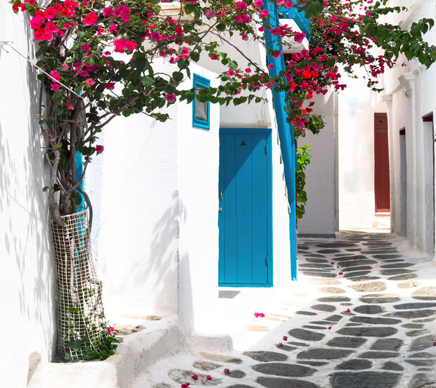 A vibrant pink bougainvillea climbs a white wall, with a bright blue door beneath. The narrow cobblestone alley creates a picturesque scene, suggestive of a Mediterranean village.