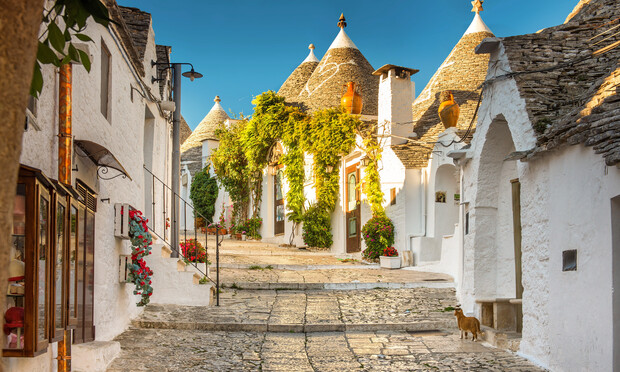 White stone houses with conical roofs line a cobblestone street, adorned with greenery and flowers, under a clear blue sky. A cat stands nearby, enhancing the picturesque village scene.
