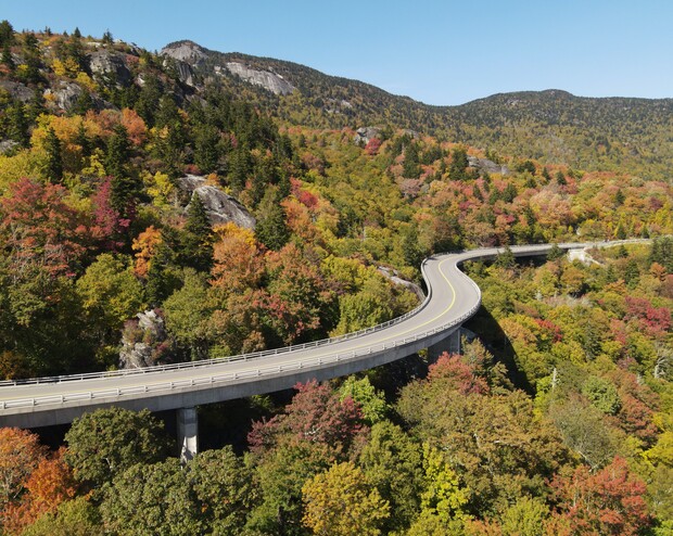 A winding road curves through a vibrant forest displaying autumn foliage, set against a backdrop of rolling hills and clear blue sky. No text present.