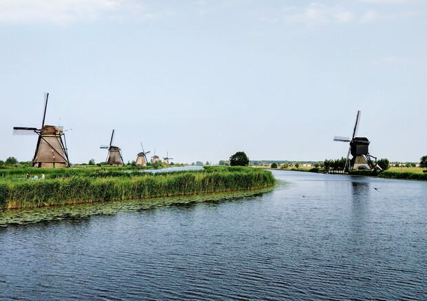 Windmills stand prominently alongside a calm river, surrounded by lush green grass and reeds under a clear blue sky.