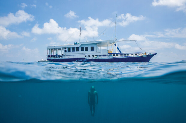 A boat named "Carina" floats on a calm ocean surface; below, a diver swims underwater. The sky is clear with few clouds, creating a serene seascape.