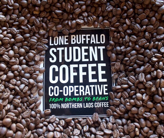 Coffee beans encircle a black card displaying white and green text: "LONE BUFFALO STUDENT COFFEE CO-OPERATIVE FROM BOMBS TO BEANS 100% NORTHERN LAOS COFFEE."