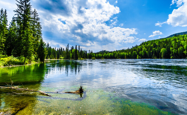 A serene river flows gently, reflecting the blue sky and fluffy clouds, bordered by lush green forests and mountains under the bright afternoon sun.