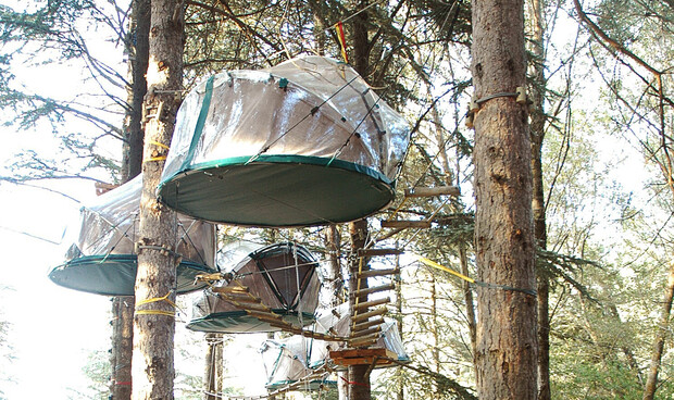 Circular tents are suspended between tall trees, elevated above the ground, connected by wooden walkways in a dense forest setting with sunlight filtering through the branches.