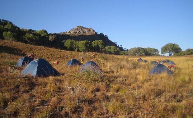 Blue tents are pitched in a grassy field with sparse trees and a mountain ridge in the background, under a clear blue sky, suggesting a camping scene.