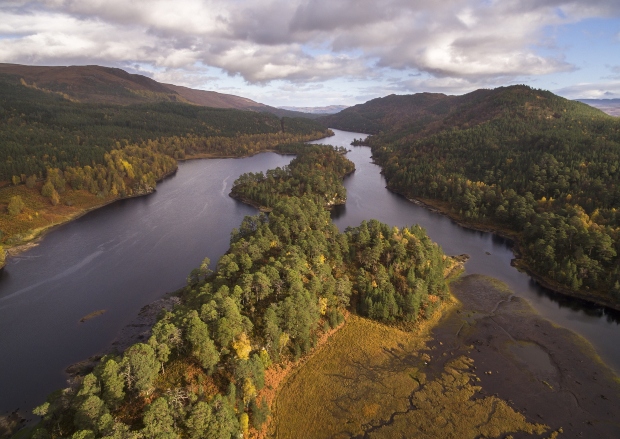 A winding river flows through a forested landscape surrounded by rolling hills under a partly cloudy sky, with dense trees lining the riverbanks and patches of grassy wetlands nearby.
