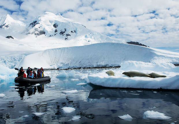 A group of people sits in a small boat observing seals resting on an ice floe; snowy mountains and icy waters form the Antarctic backdrop.