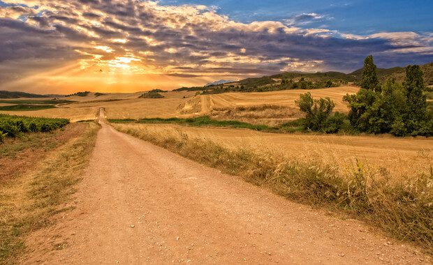A dirt road stretches through golden fields under a dramatic sunset sky with scattered clouds and distant hills, surrounded by patches of greenery and trees.