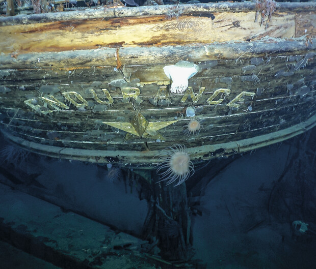 Wooden shipwreck, partially intact, rests underwater; letters "ENDURANCE" visible on its hull. Marine life, including anemones and algae, cover the surface, indicating long submersion in a deep-sea environment.