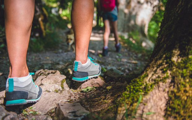 Shoes firmly tread a rocky forest trail, as legs move forward through dappled sunlight. Another hiker, farther ahead, walks between tall trees, hinting at peaceful companionship in nature.