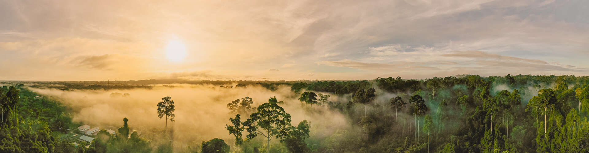 Sunlight illuminates mist rising over a dense rainforest, with tall trees emerging through the fog. The surrounding scene includes a few small buildings, under a vast, partly cloudy sky.
