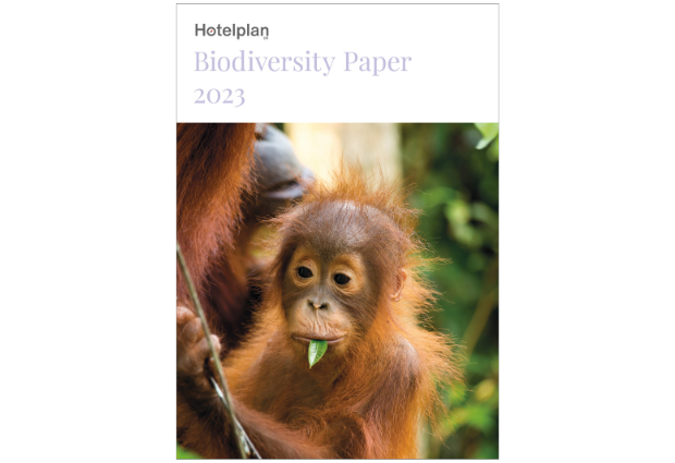 A young orangutan holds a leaf in its mouth, clinging to a tree branch in a lush, green forest. Text above reads: "Hotelplan Biodiversity Paper 2023."