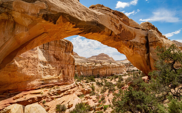 A natural sandstone arch spans above a rocky desert landscape, with scattered bushes and trees under a bright blue sky with wispy clouds.