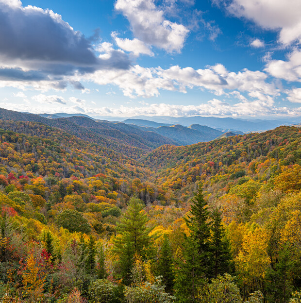 Colorful autumn trees covering rolling hills stretch into the distance under a partly cloudy sky, creating a vivid fall landscape with mountains in the background.