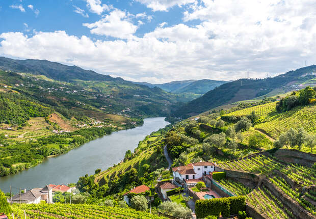 River winds between lush, green hills dotted with vineyards. A few houses nestle on slopes, framed by a clear blue sky and scattered clouds.