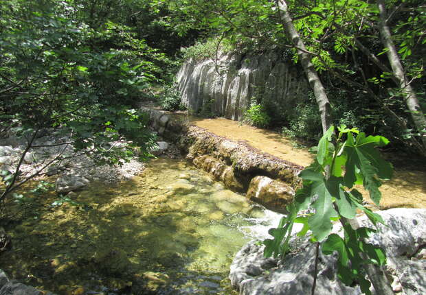 A clear, shallow stream flows over rocks, surrounded by lush green trees and natural stone formations, creating a serene forest setting. Sunlight filters through the foliage, illuminating the water.