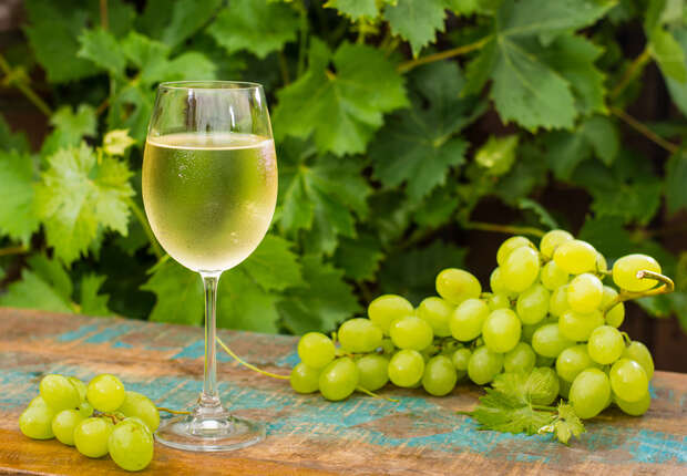 A glass of white wine sits on a rustic wooden table beside a bunch of green grapes. Vibrant grape leaves provide a lush green backdrop.