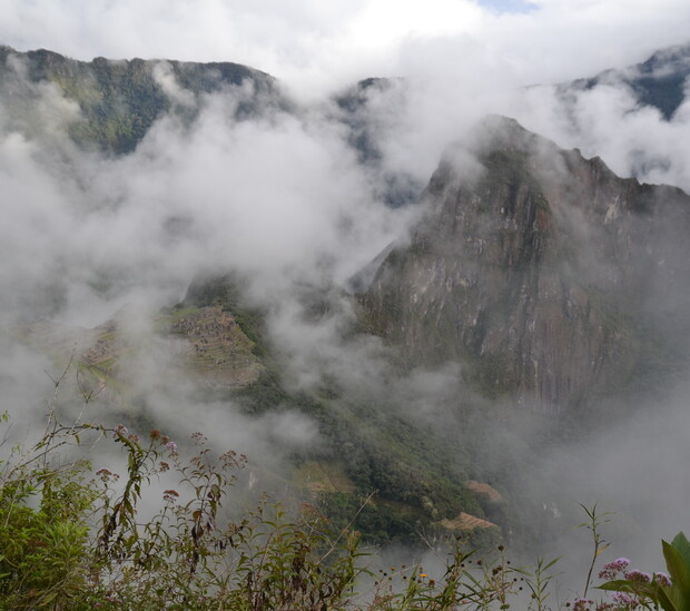Fog envelops rugged mountain peaks with lush greenery, partially obscured by mist. In the foreground, sparse vegetation stands against the cloudy backdrop, creating a dramatic and mysterious atmosphere.
