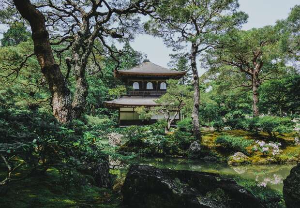 A traditional Japanese pavilion stands serenely amidst lush greenery, surrounded by winding trees and a tranquil pond, creating a harmonious garden setting.