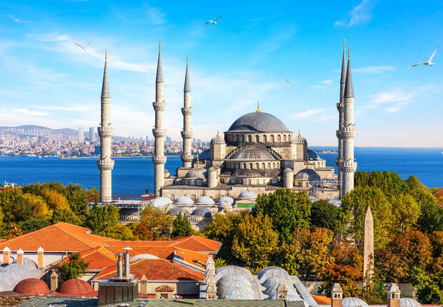 A grand mosque with six minarets stands prominently near a waterfront, surrounded by trees and city buildings under a clear blue sky with several flying seagulls.