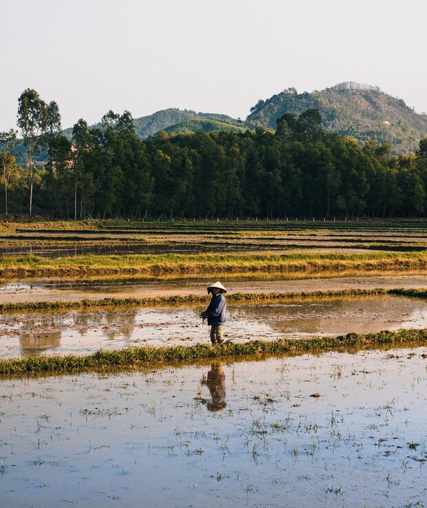 A person wearing a conical hat stands in a flooded rice field, reflecting in the water, surrounded by layers of fields and distant forested hills under a clear sky.