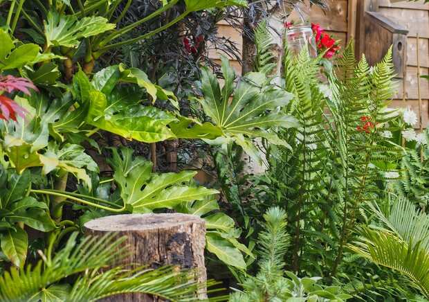 A tree stump sits among lush green foliage, including ferns and large leaves, against a wooden fence. Red flowers add contrast, creating a vibrant garden setting.