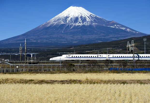 A sleek white train speeds past a golden field, with the snow-capped peak of a vast mountain dominating the background under a clear blue sky.