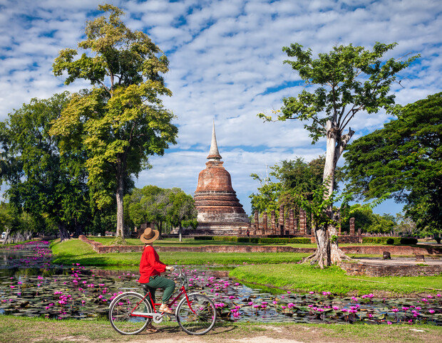 A person in red and a hat rides a bicycle, gazing at an ancient brick stupa amidst lush greenery and blooming lotus flowers under a partly cloudy sky.