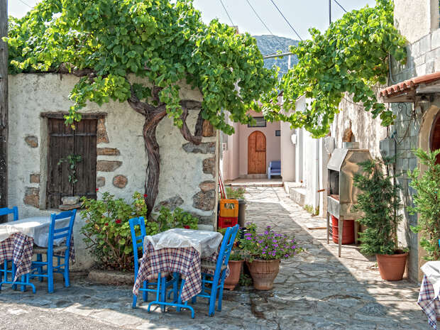 Tables with blue chairs are set outdoors under a canopy of grapevines. The scene is a rustic, sunlit stone alleyway with potted plants and a wooden door in the distance.