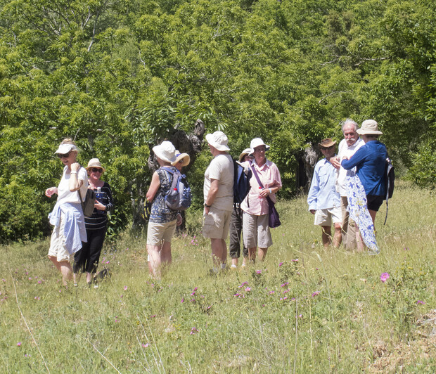 A group of people stands talking in a grassy field, surrounded by trees. They wear hats and casual clothing, suggesting a leisurely outdoor gathering or hike.