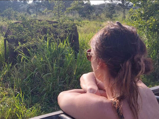A person with tied hair leans on a vehicle, gazing at an elephant partially hidden by tall grass and bushes in a lush, green landscape.