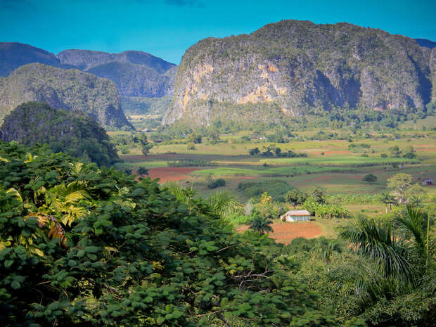 Mountains rise in the background as a small house sits in a lush, green valley. Dense foliage fills the foreground, providing a vivid, natural frame to the landscape.