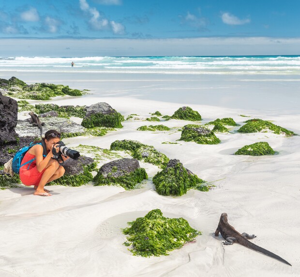 A person crouches on a sandy beach photographing a marine iguana. Green seaweed-covered rocks are scattered around, with ocean waves and a clear blue sky in the background.