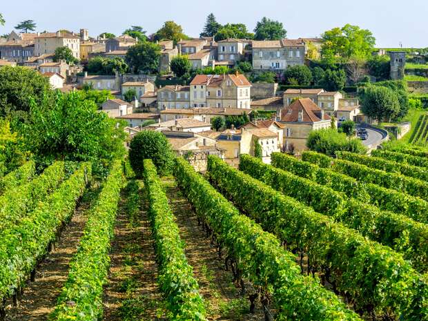 Rows of green grapevines stretch across a vineyard, leading towards a quaint village with rustic houses and lush trees nestled on a gentle hillside under a clear sky.