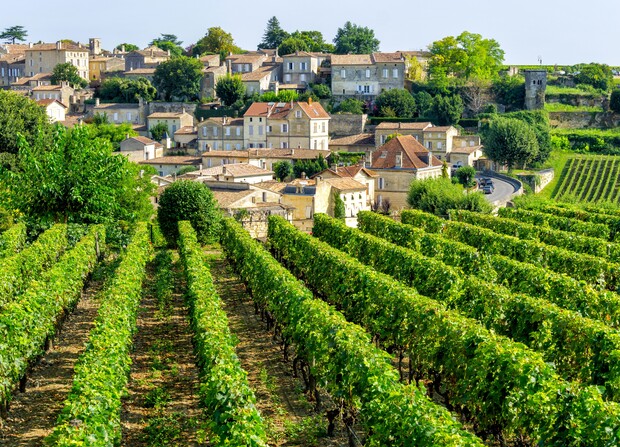 Rows of grapevines stretch across a hillside, leading toward a quaint village of stone buildings with red-tiled roofs, surrounded by lush greenery under a clear sky.