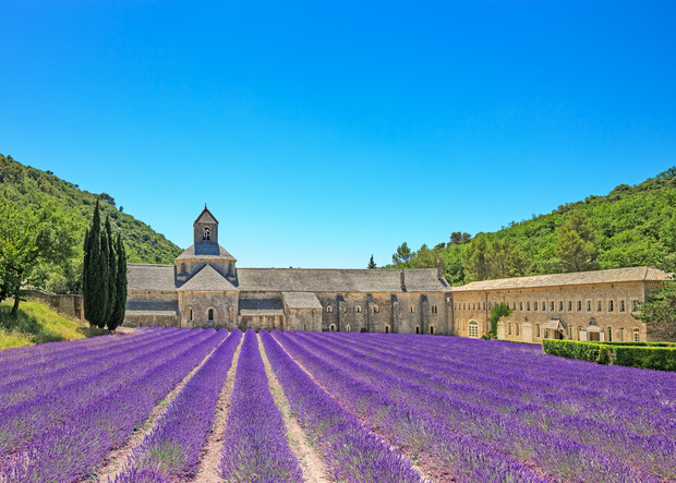 A historic stone abbey stands amidst colorful lavender fields, stretching toward a clear blue sky. Surrounding hills and trees frame the peaceful, rural setting.