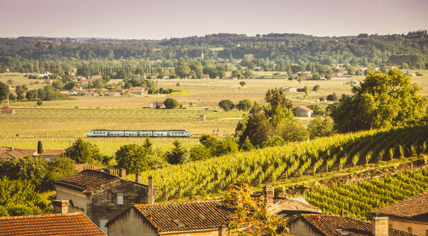 A train travels through lush, sunlit vineyards with rolling hills in the background and rooftops of rustic buildings in the foreground.