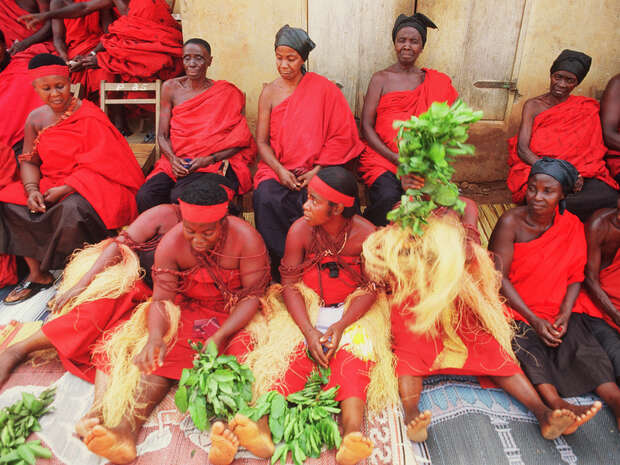 People dressed in red clothing are sitting and holding green leaves, possibly participating in a cultural or traditional ceremony. They are seated indoors on patterned mats against a plain wall.