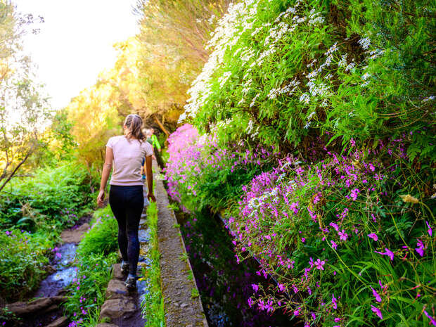 A person walks along a narrow path beside a vibrant, flower-lined trail. The lush greenery and colorful flowers create a tranquil, natural environment.