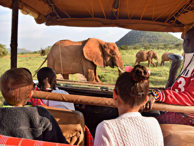 A group of people in a safari vehicle observe an elephant walking in a grassy landscape with distant hills, under a clear sky.