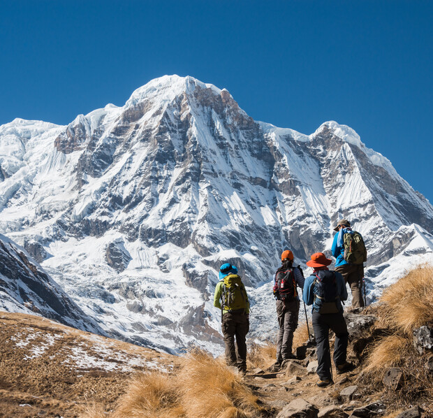 Hikers stand atop a rocky path, gazing at a snow-covered mountain under a clear blue sky, surrounded by dry grass.