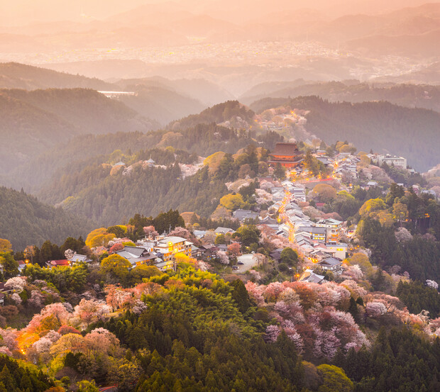 A village with small buildings is nestled in rolling green hills, surrounded by cherry blossom trees under a warm, golden sky at sunset, creating a serene and picturesque landscape.