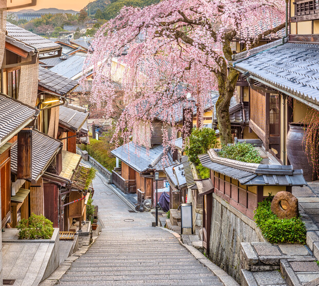 A cherry blossom tree blooms over a narrow, stone-paved street lined with traditional wooden buildings, creating a picturesque, tranquil setting in a historic Japanese neighborhood.